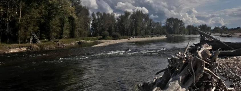 Bitterroot River, MT