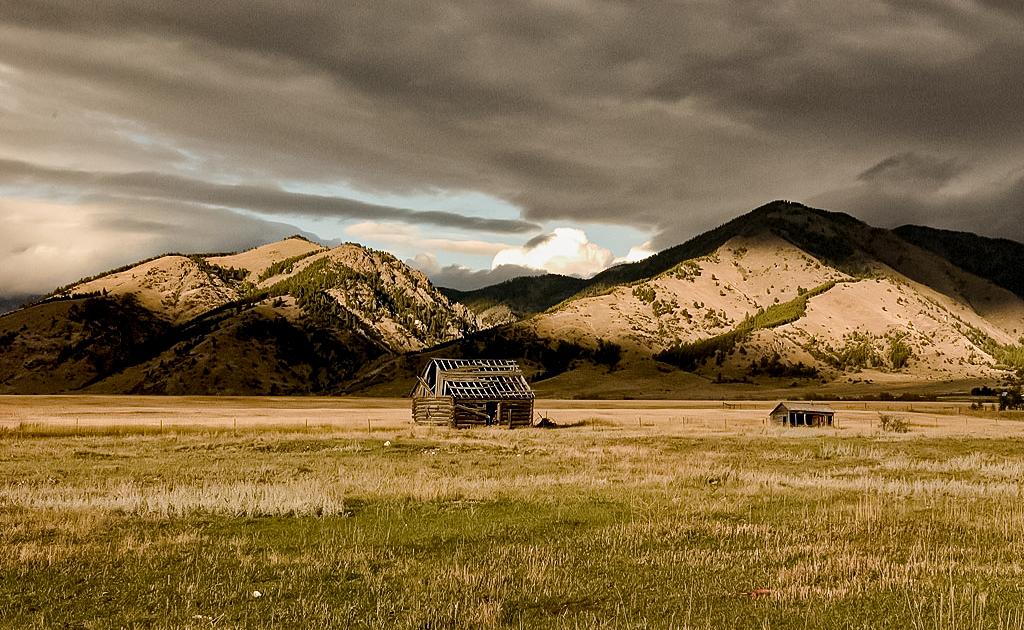 Homestead at Bridgers